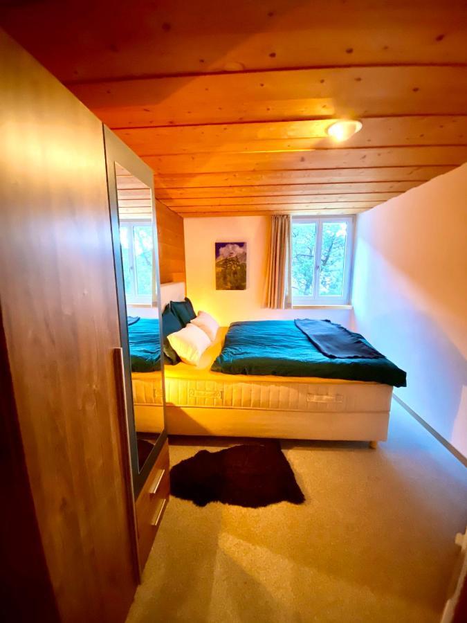 Appartement Aareschlucht- Grandiose Aussicht Fuer 2-6 Pers. Meiringen Zewnętrze zdjęcie